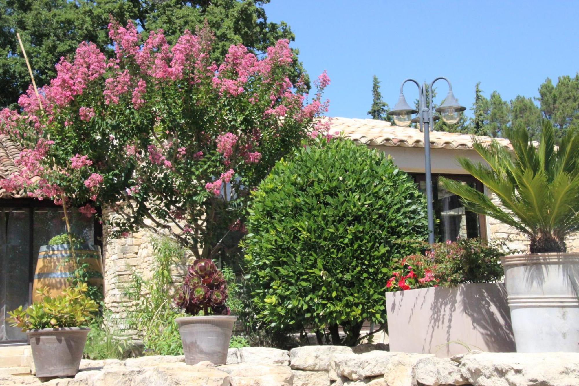 Fleur De Lavande Gordes Zewnętrze zdjęcie